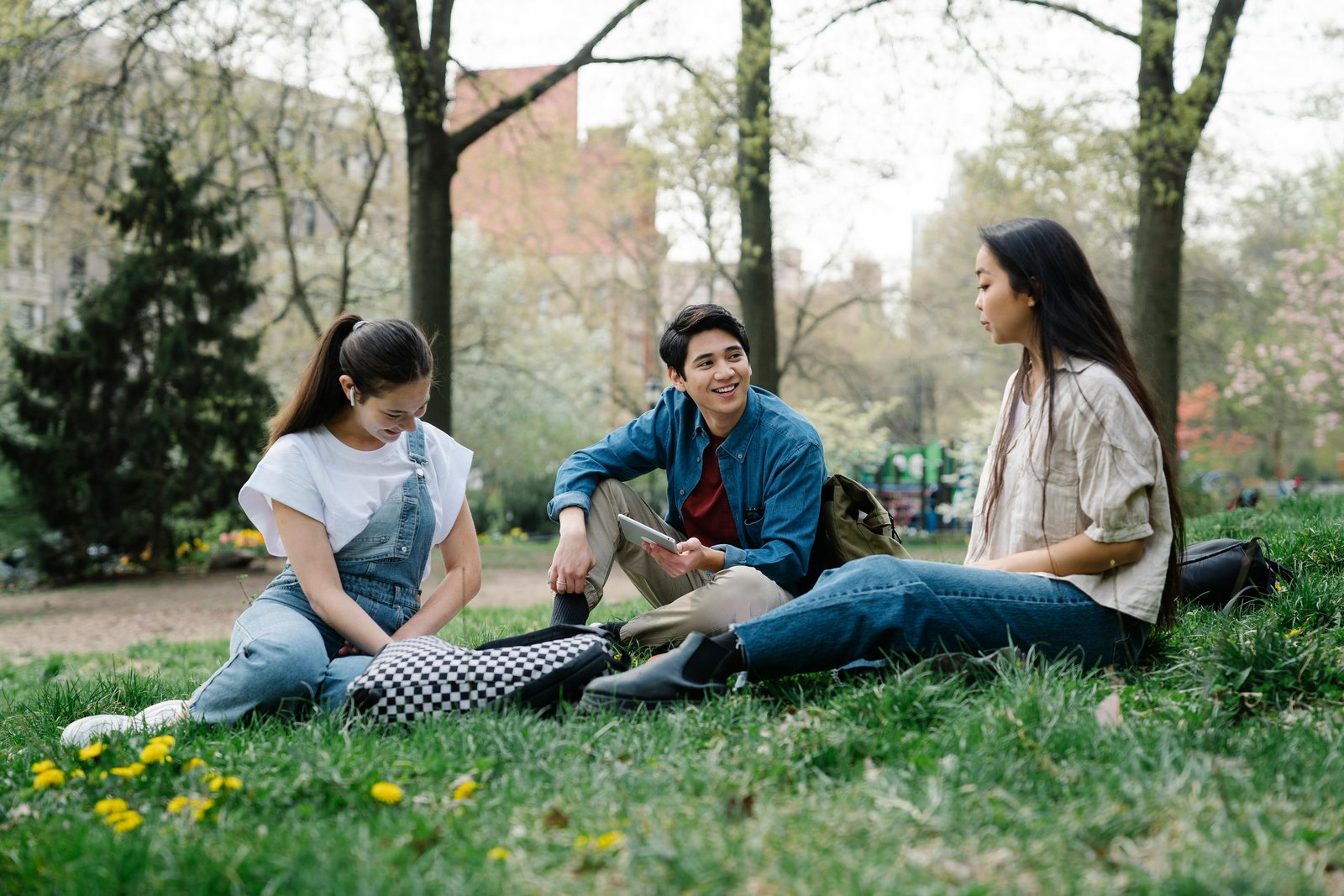 people talking in a park - Importance of Freedom of Speech